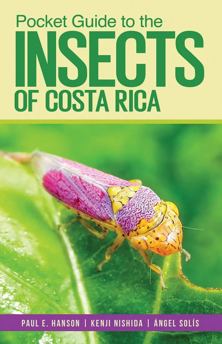 LIBRO GUIDE INSECTS