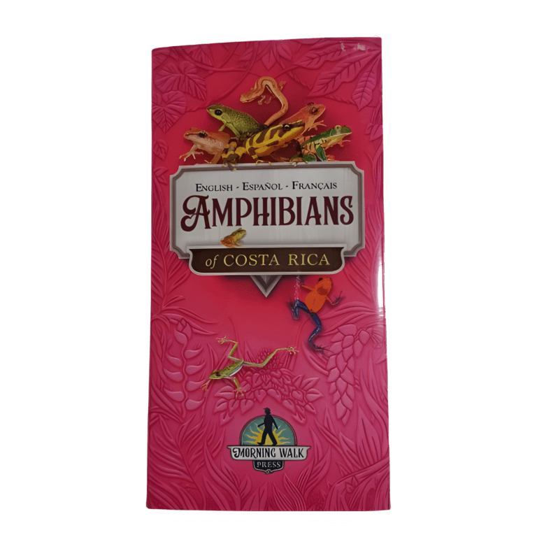 GUIA DE AMPHIBIANS