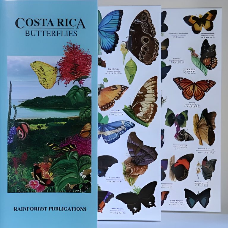 GUIA DE MARIPOSAS