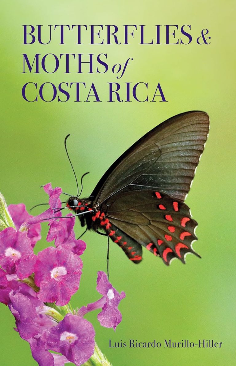 LIBRO MARIPOSAS Y POLILLAS DE COSTA RICA | BUTTERFLIES AND MOTHS OF COSTA RICA