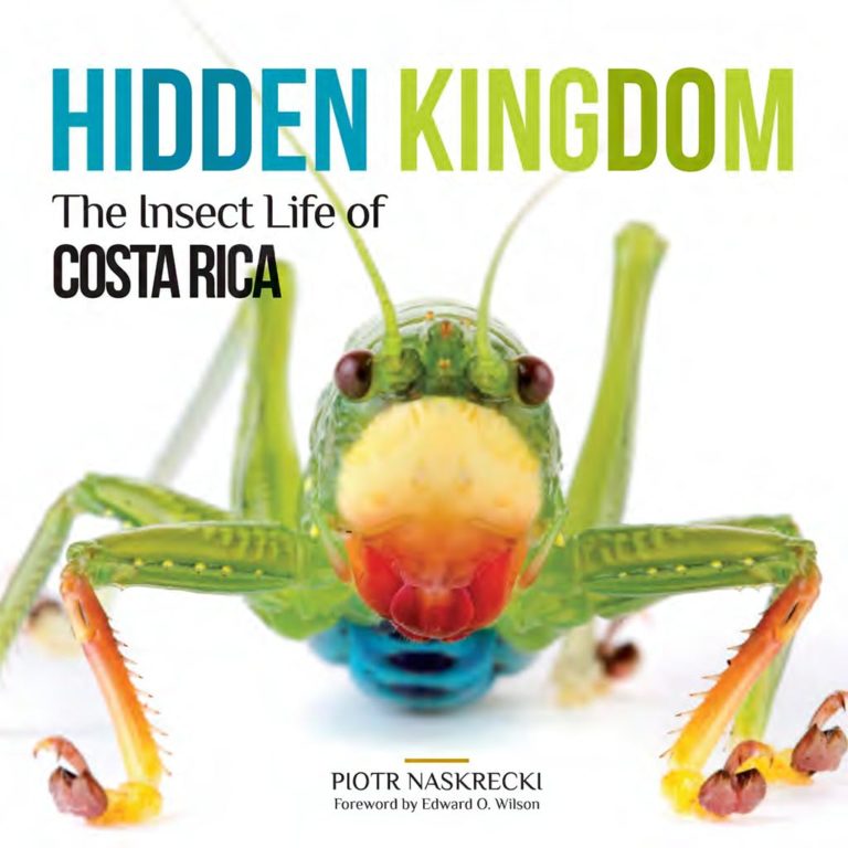 LIBRO HIDDEN KINGDOM: THE INSECT LIFE OF COSTA RICA