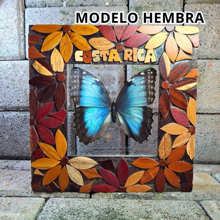 CUADRO MORPHO FIGURAS