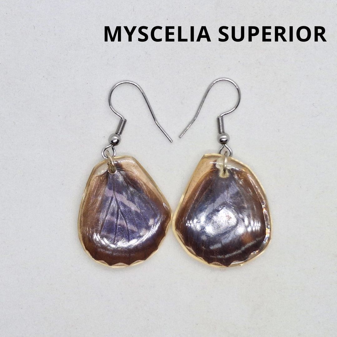 ARETE ALAS DE MYSCELIA