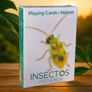 NAIPE INSECTOS DE CR