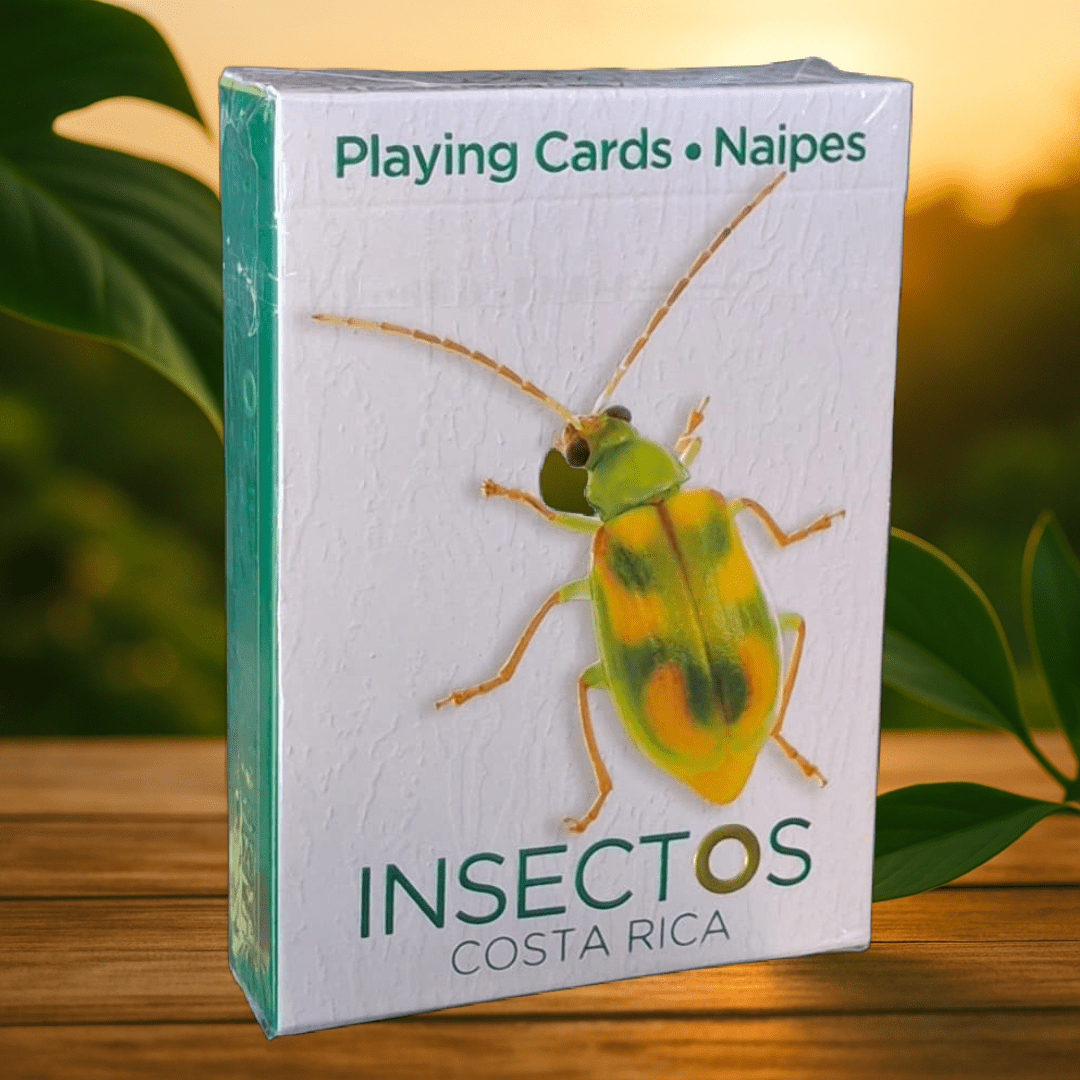 NAIPE INSECTOS DE CR