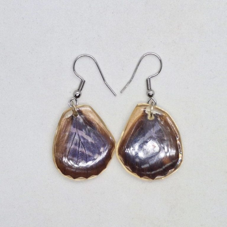 ARETE ALAS DE MYSCELIA