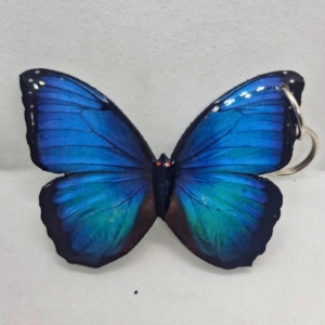 LLAVERO MORPHO DELUXE